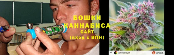 прущие грибы Абаза