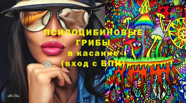 ПСИЛОЦИБИНОВЫЕ ГРИБЫ Нефтегорск