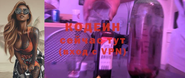 прущие грибы Абаза