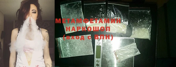прущие грибы Абаза