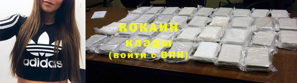 прущие грибы Абаза