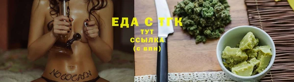 прущие грибы Абаза