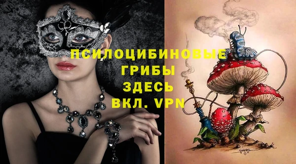 гидропоника Шадринск