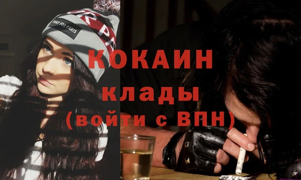 прущие грибы Абаза