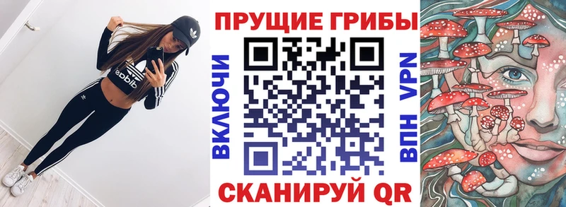 купить сайты Питкяранта дарк нет какой сайт Галлюциногенные грибы прущие грибы